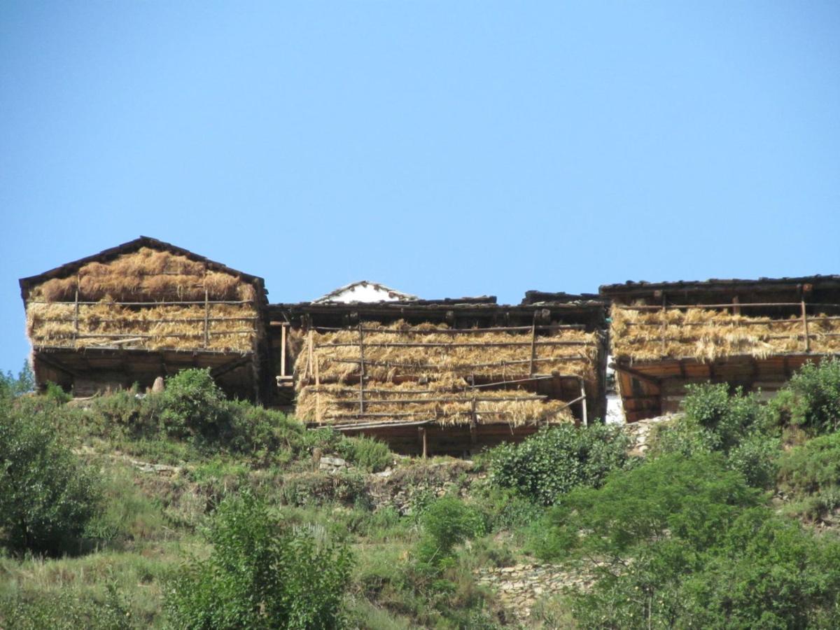 Mozo Inn&Cafe Jibhi Banjār 外观 照片